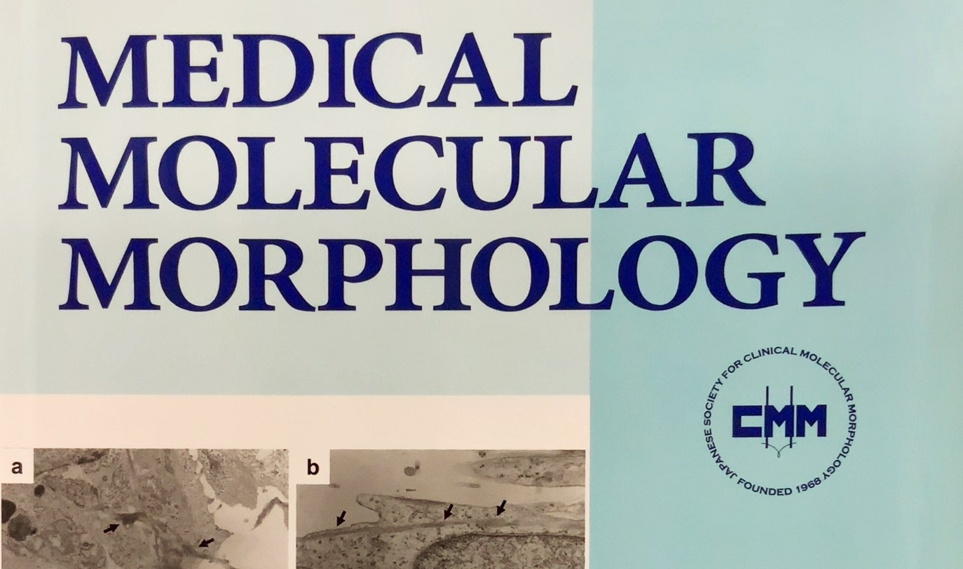 Medical Molecular Morphology 表紙