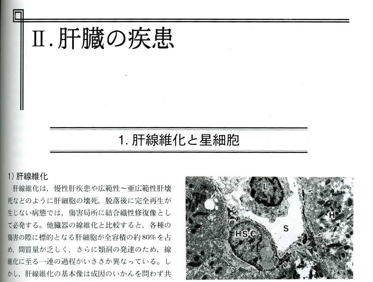 病気の形態学 表紙2